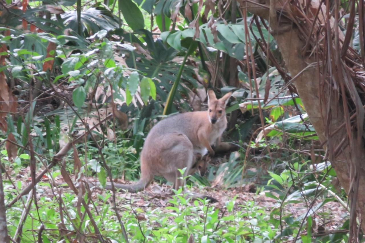 Keillor Lodge Maleny Luaran gambar